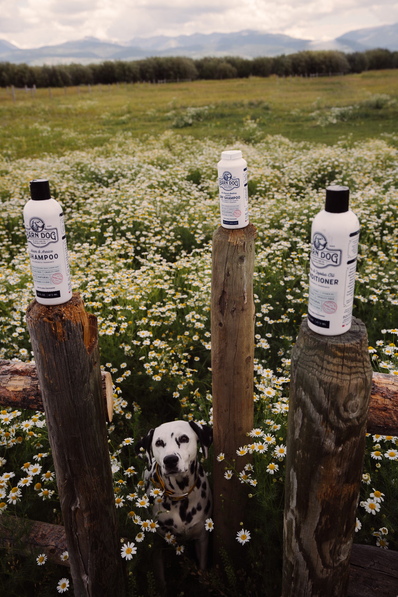 Barn Dog Shampoo Bundle