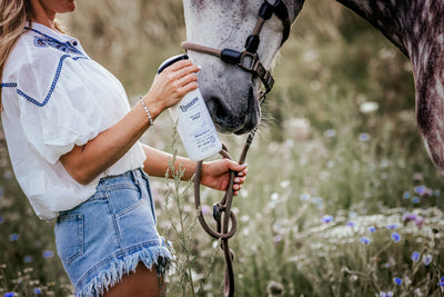 Horse & Outdoor Spray