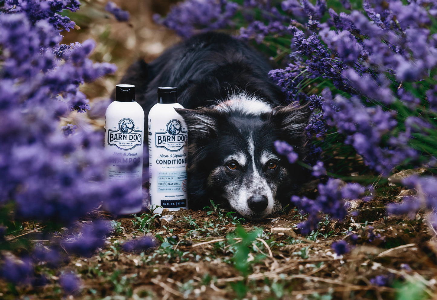 Barn Dog Essentials Combo 16oz