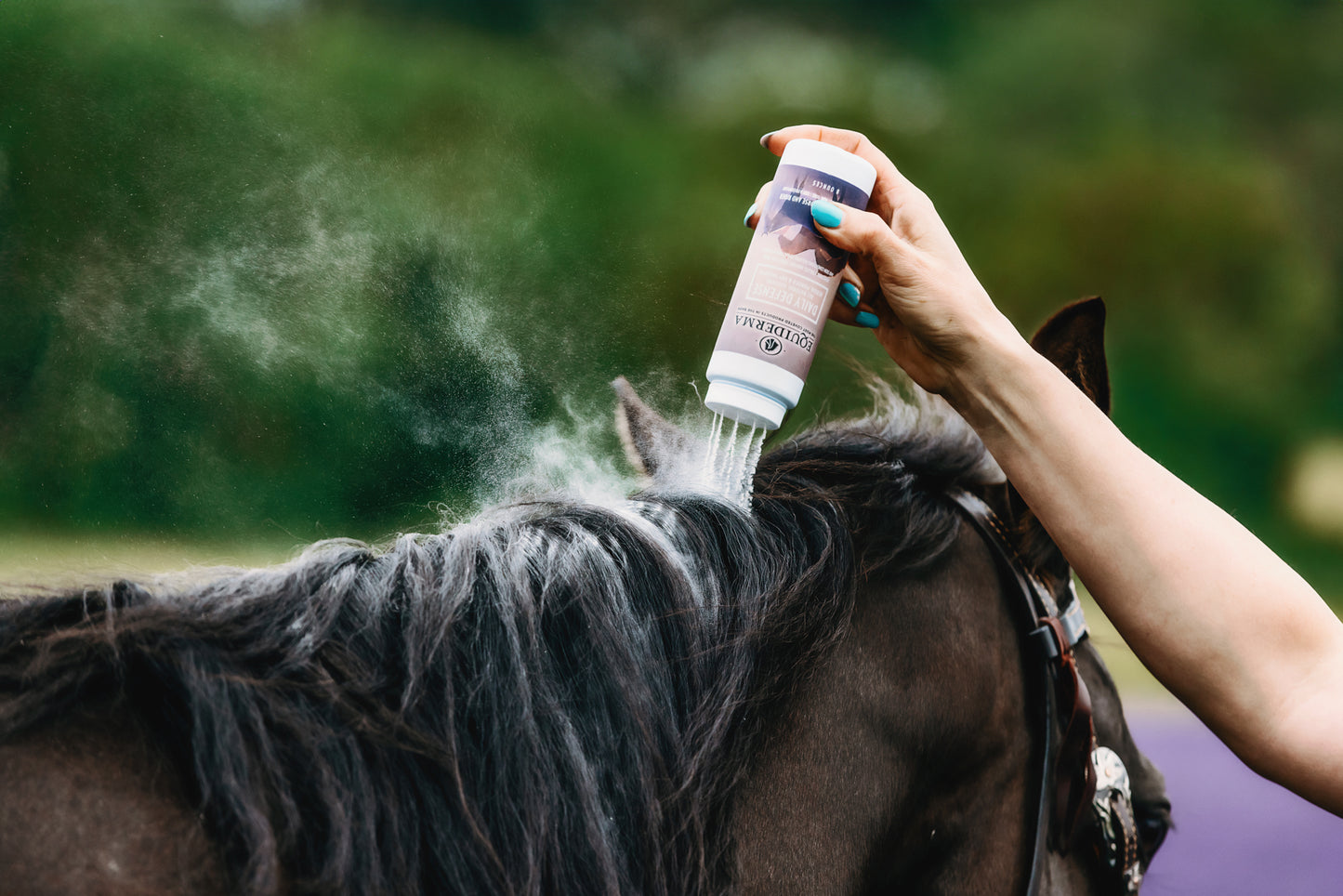Daily Defense Dry Shampoo