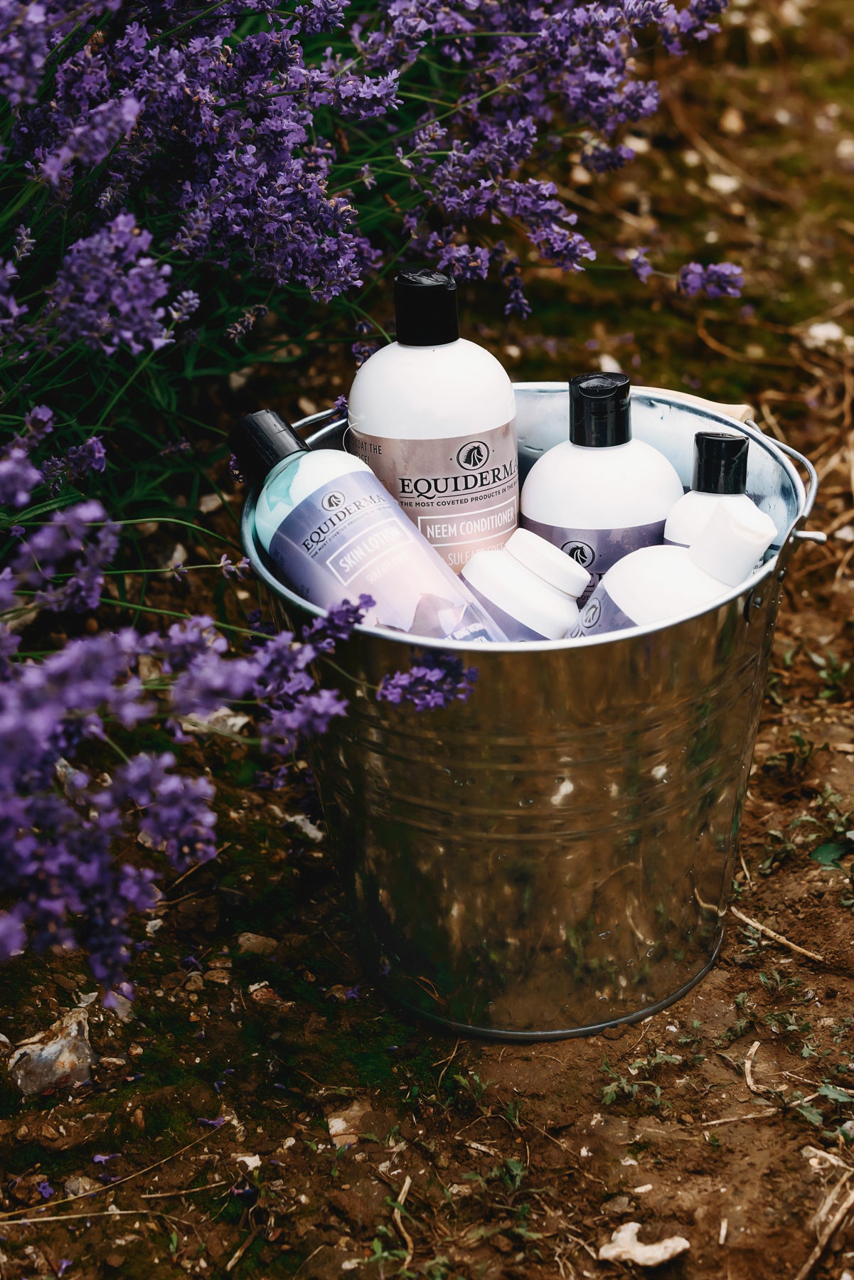 Shampoo + Lotion Combo