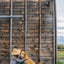 Barn Dog Essentials Travel Kit