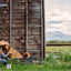 Barn Dog Essentials Travel Kit