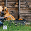 Barn Dog Essentials Combo 16oz