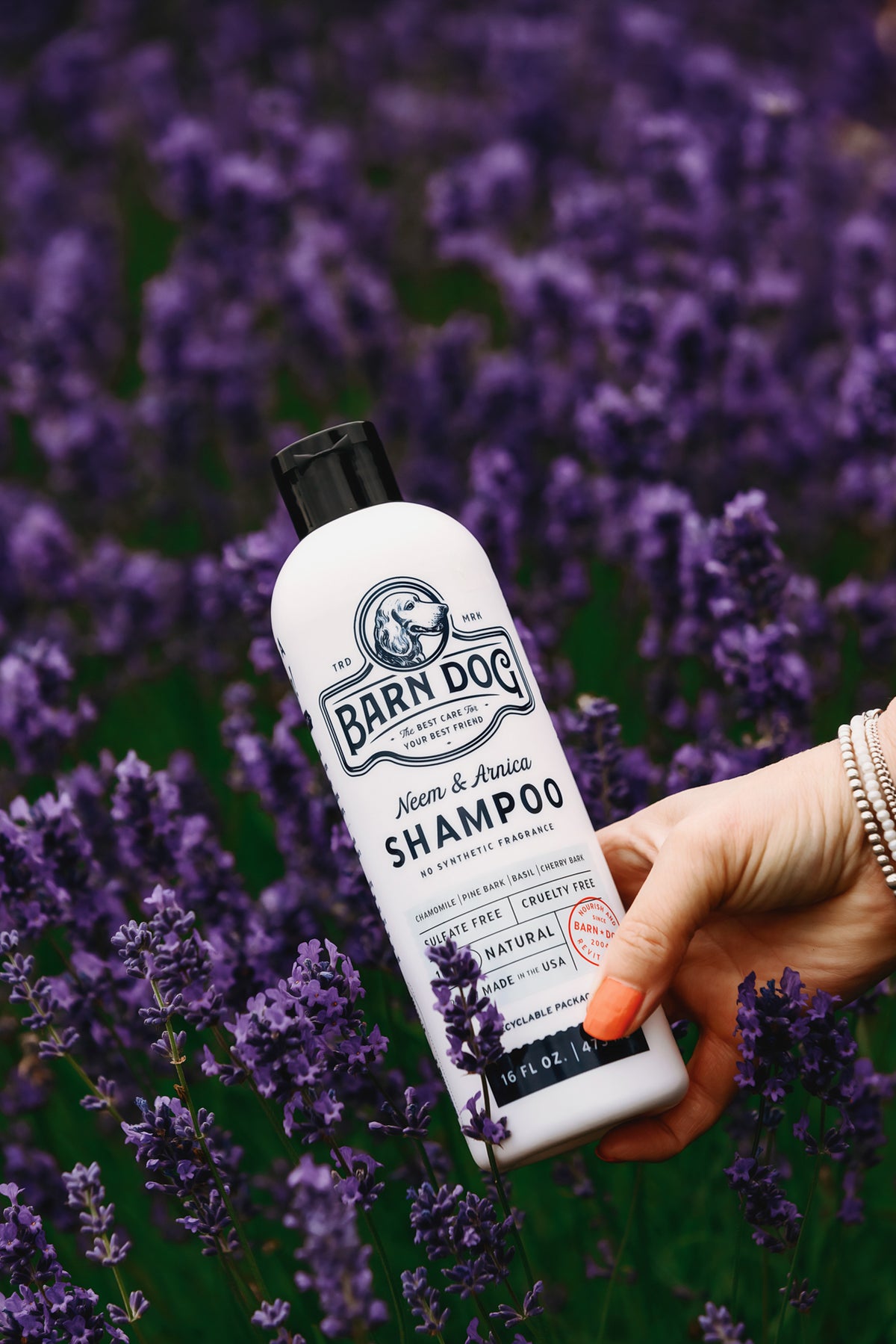 SALE! Buy a Gallon of Barn Dog Shampoo, Get a 16oz Free