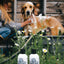 Barn Dog Shampoo Bundle