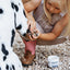Barn Dog Herbal Magic Bundle