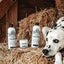Barn Dog Herbal Magic Bundle