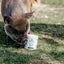 Show Off Udderly Amazing Balm
