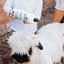 Show Off That Shine Conditioner