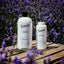 Shampoo Bundle
