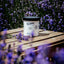 Zinc Oxide Paste (for Pastern Dermatitis)