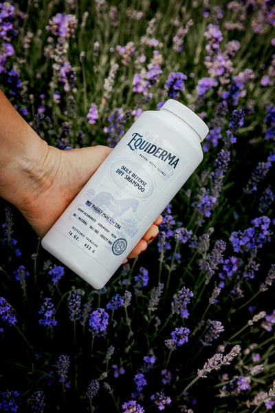 NOW IN NEW REFILL BAGS! Daily Defense Dry Shampoo