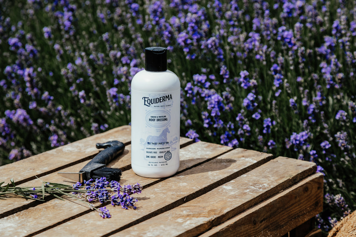 Thrush & Whiteline Hoof Dressing