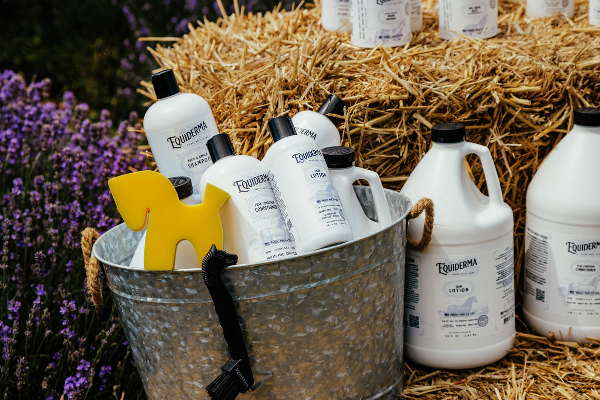 SALE! Buy a Gallon of Skin Lotion, Get a 16oz Free