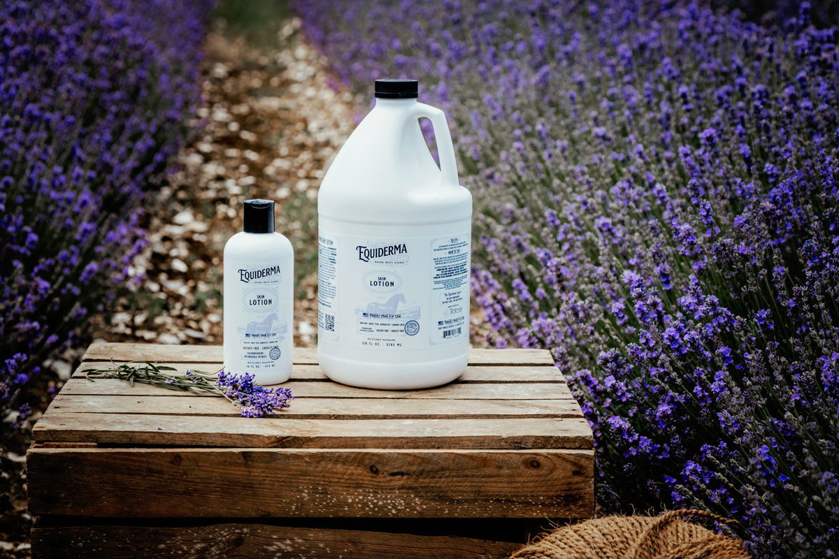 SALE! Buy a Gallon of Skin Lotion, Get a 16oz Free
