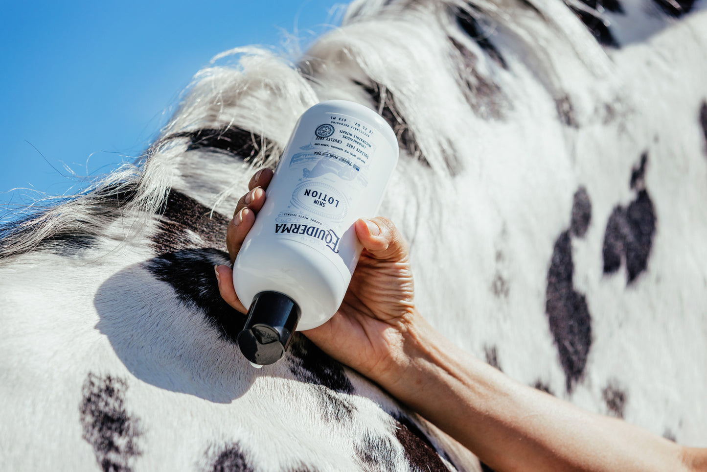 Skin Lotion