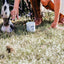 Zinc Oxide Paste (for Pastern Dermatitis)