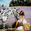 SALE! Buy a Gallon of Horse & Outdoor Spray, Get a Bottle of Organic Neem Oil Free