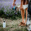 Thrush & Whiteline Hoof Dressing