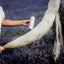 SALE! Buy a Gallon of Horse & Outdoor Spray, Get a Bottle of Organic Neem Oil Free