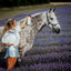 SALE! Buy a Gallon of Horse & Outdoor Spray, Get a Quart Free, Includes Sprayer
