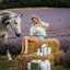 SALE! Buy a Gallon of Horse & Outdoor Spray, Get a Quart Free, Includes Sprayer