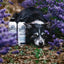 Barn Dog Essentials Combo 16oz