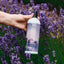 Skin Lotion