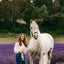 Horse Spray