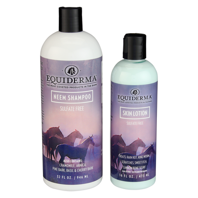 Shampoo + Lotion Combo