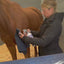 SALE! Buy a Gallon of Horse Spray, Get a Quart Free