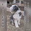 Barn Dog Dry Shampoo
